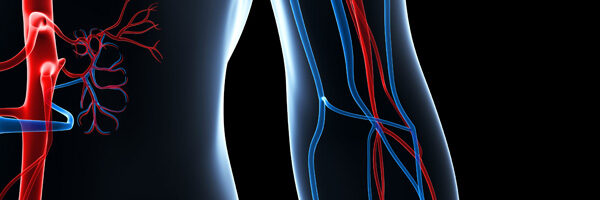 Vascular Pic